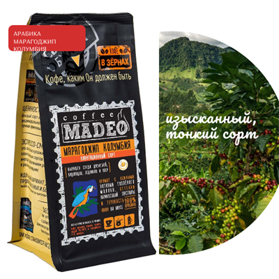 АРАБИКА МАРАГОДЖИП КОЛУМБИЯ Марка Madeo, кофе в зёрнах, вес 200 г 2751274